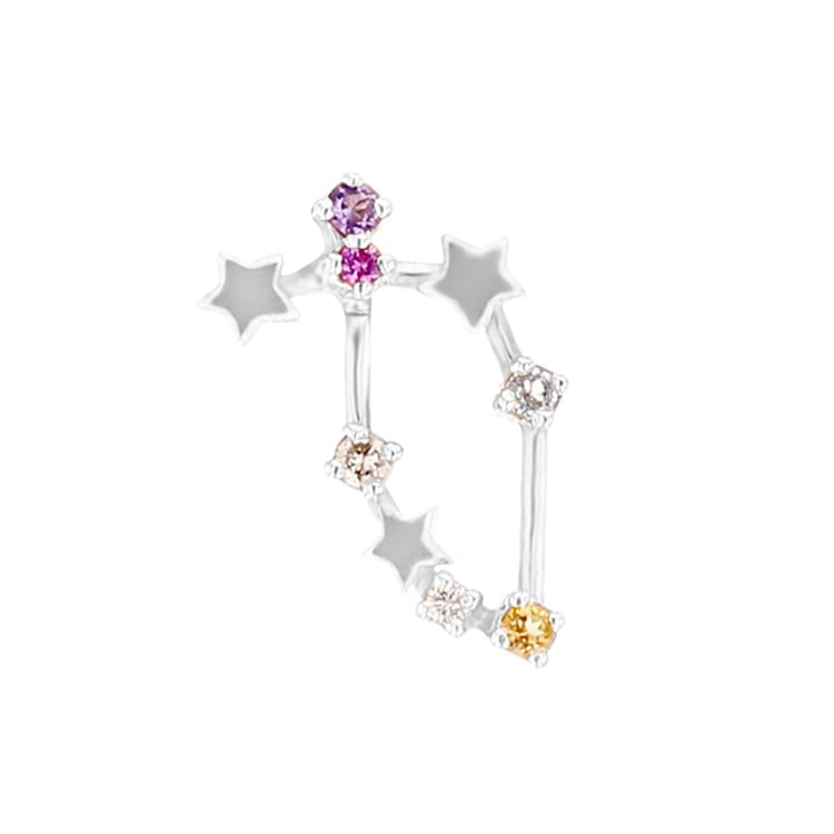 Náušnice se znamením zvěrokruhu Capricorn 95705