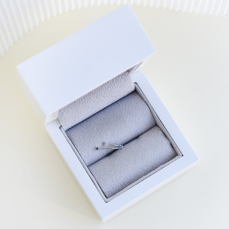 Náušnice se znamením zvěrokruhu 95311