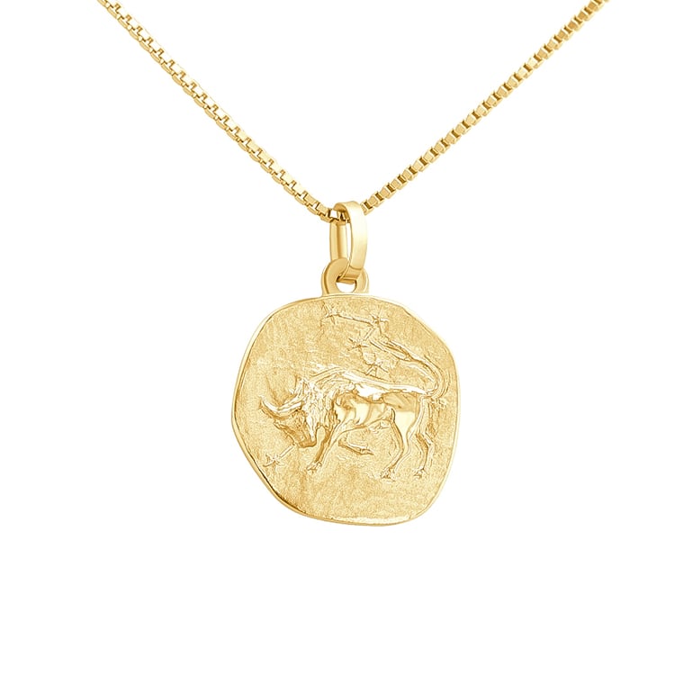 Stříbrný přívěsek se symboly znamení zvěrokruhu