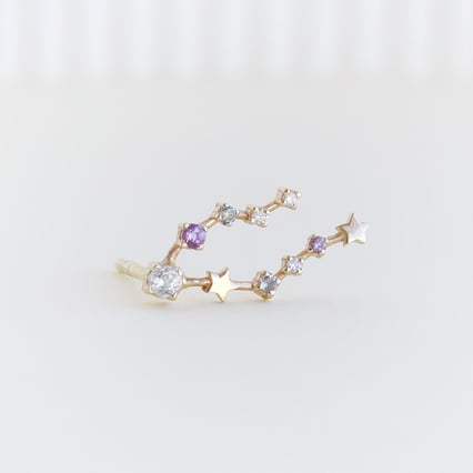 Náušnice se znamením zvěrokruhu Pisces