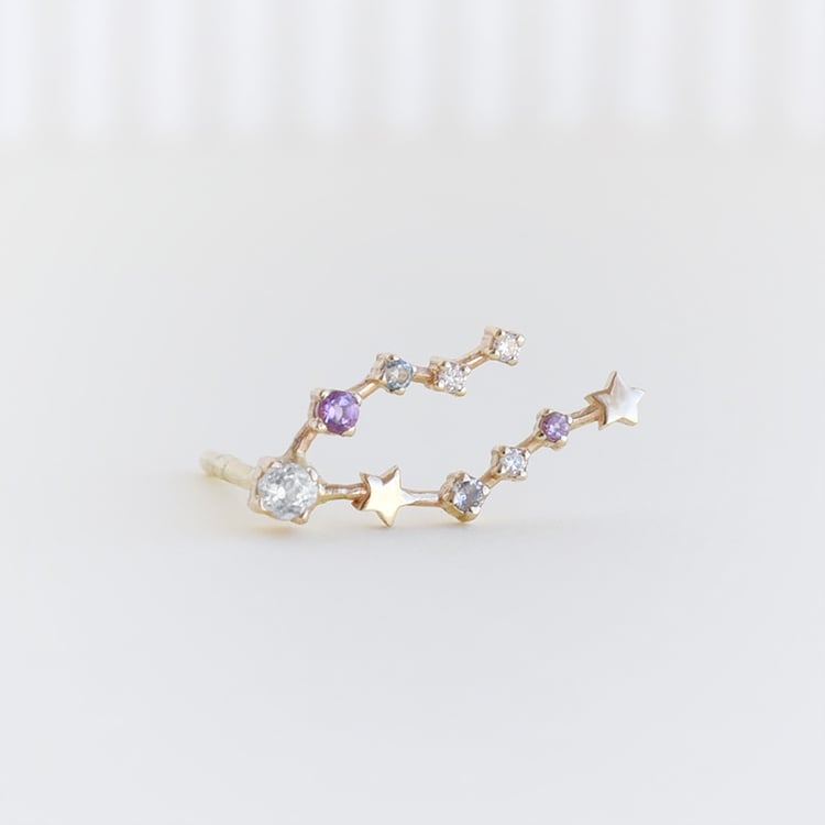 Náušnice se znamením zvěrokruhu Pisces 113227