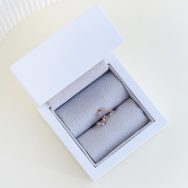 Náušnice se znamením zvěrokruhu 95319