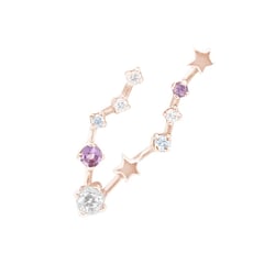 Náušnice se znamením zvěrokruhu Pisces