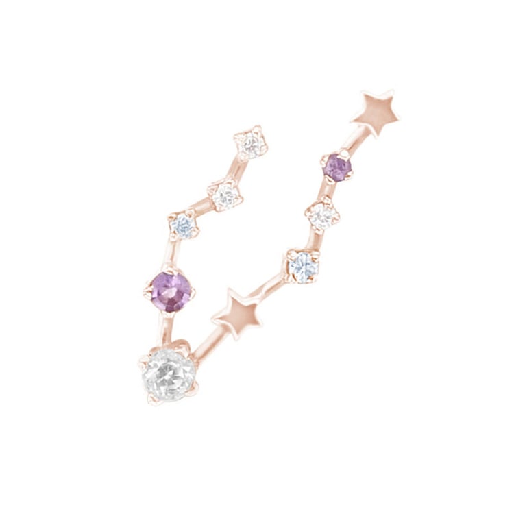 Náušnice se znamením zvěrokruhu Pisces 156607