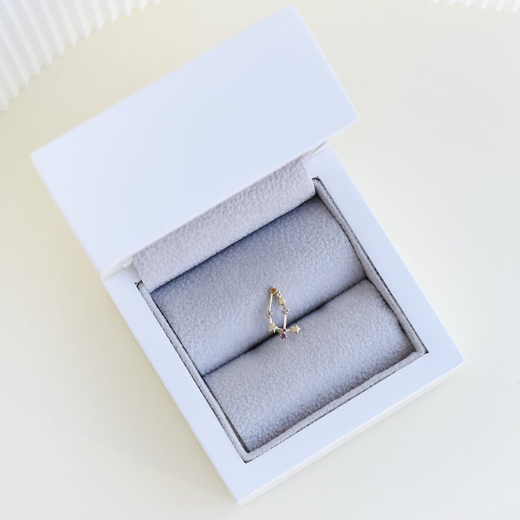 Náušnice se znamením zvěrokruhu 95354