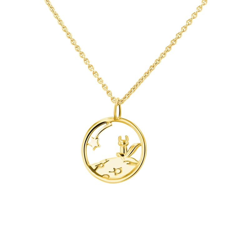 Stříbrný vykrojený přívěsek s liškou Malý princ 141918