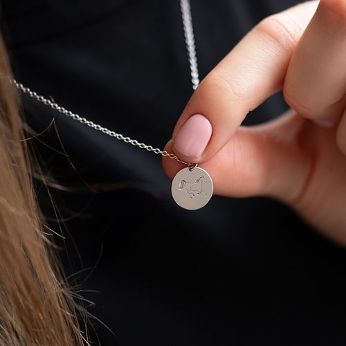 Stříbrný personalizovaný náhrdelník Čínské znamení zvěrokruhu