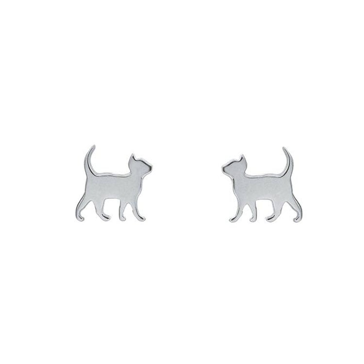 Stříbrné náušnice