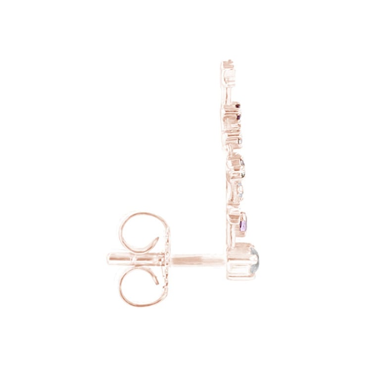 Náušnice se znamením zvěrokruhu Pisces 156604