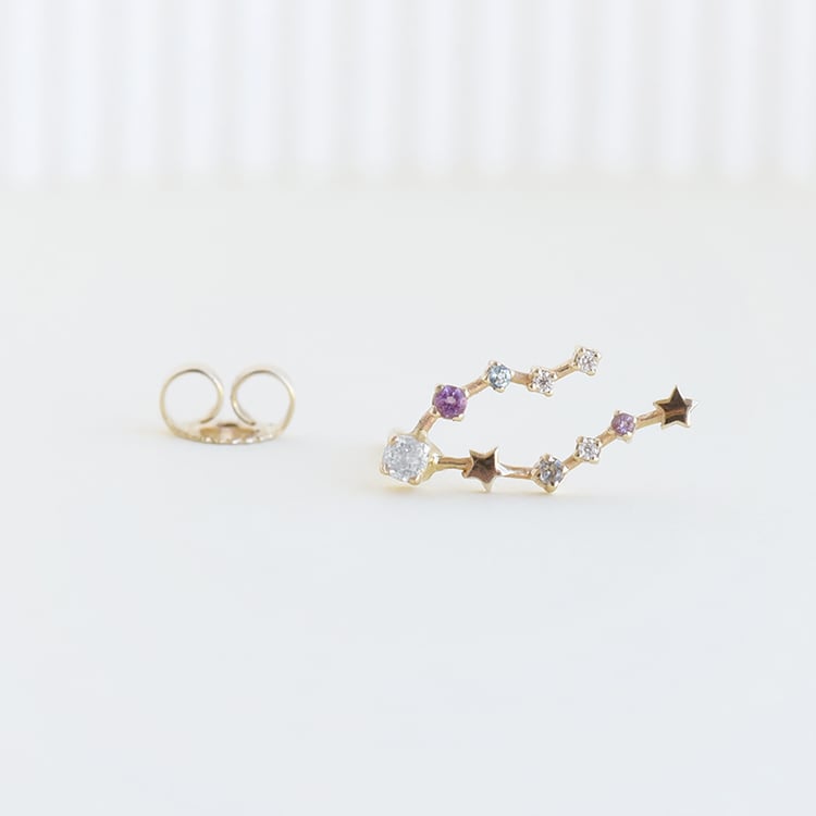 Náušnice se znamením zvěrokruhu Pisces 113228