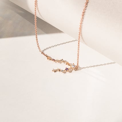 Náhrdelník se znamením zvěrokruhu Pisces