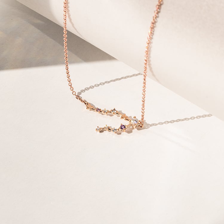 Náhrdelník se znamením zvěrokruhu Pisces 140984