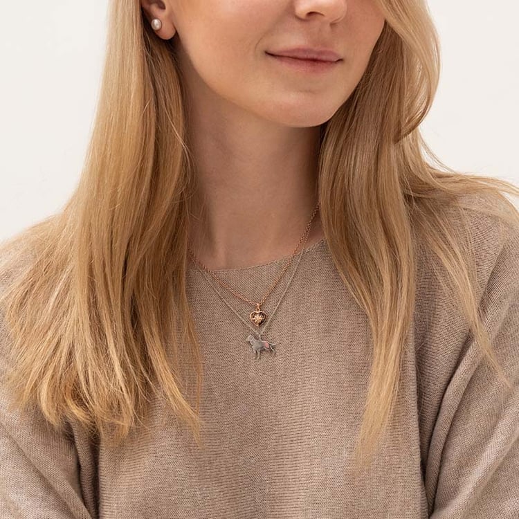 Stříbrný přívěsek ve tvaru psa s gravírem Labrador Retriever 98613