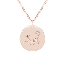 Personalizovaný náhrdelník Čínské znamení zvěrokruhu