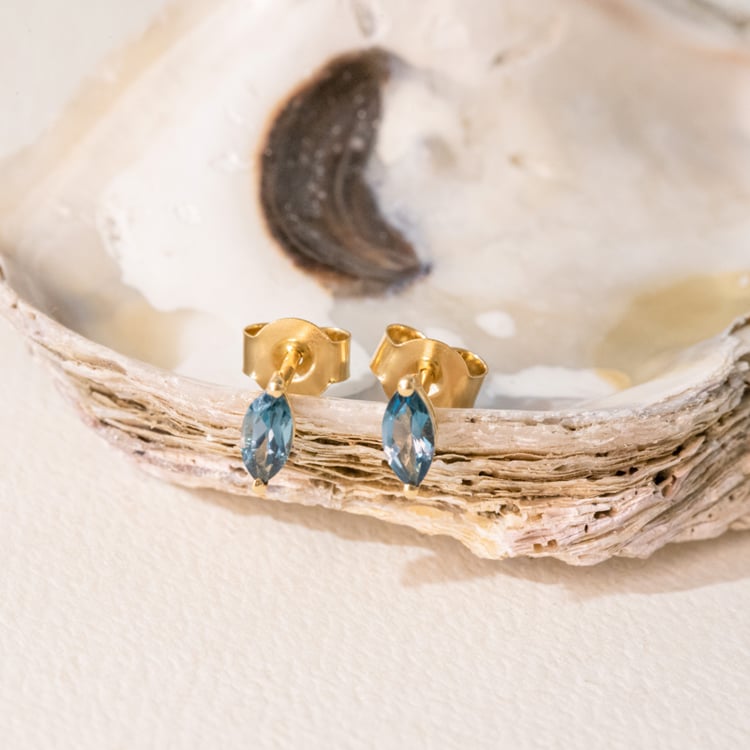 Minimalistické stříbrné náušnice s topazy Andine 101035