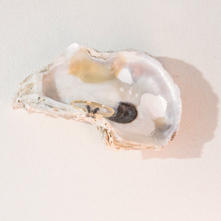 Salt and pepper prsten ve tvaru motýla Romy 100969