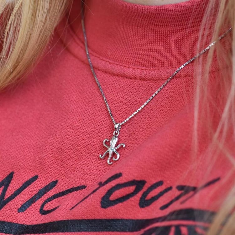 Stříbrná chobotnice 28556