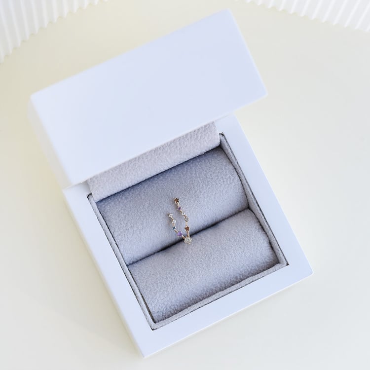 Náušnice se znamením zvěrokruhu Pisces 113229