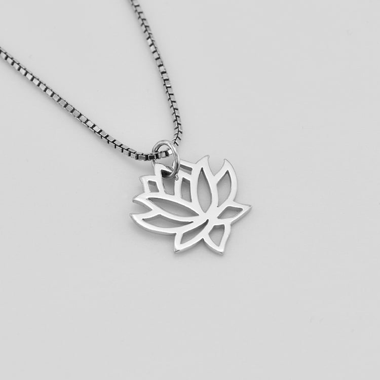 Stříbrný náhrdelník Laila 41842