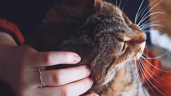 7 typů šperků pro mileniály