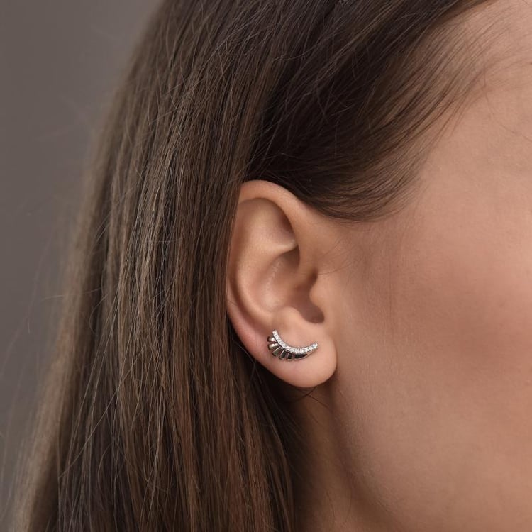 Stříbrné náušnice ve tvaru křídel 35352