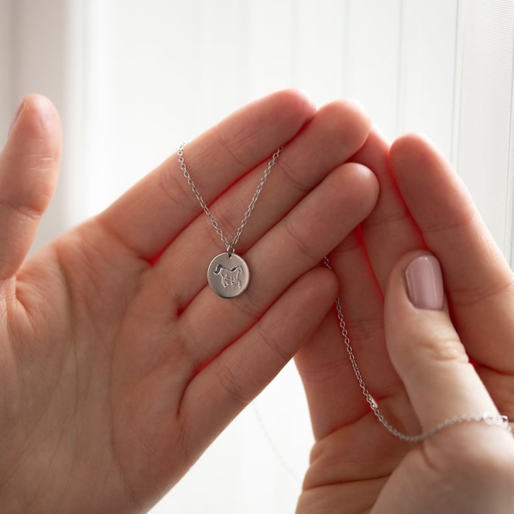 Stříbrný personalizovaný náhrdelník Čínské znamení zvěrokruhu 135182
