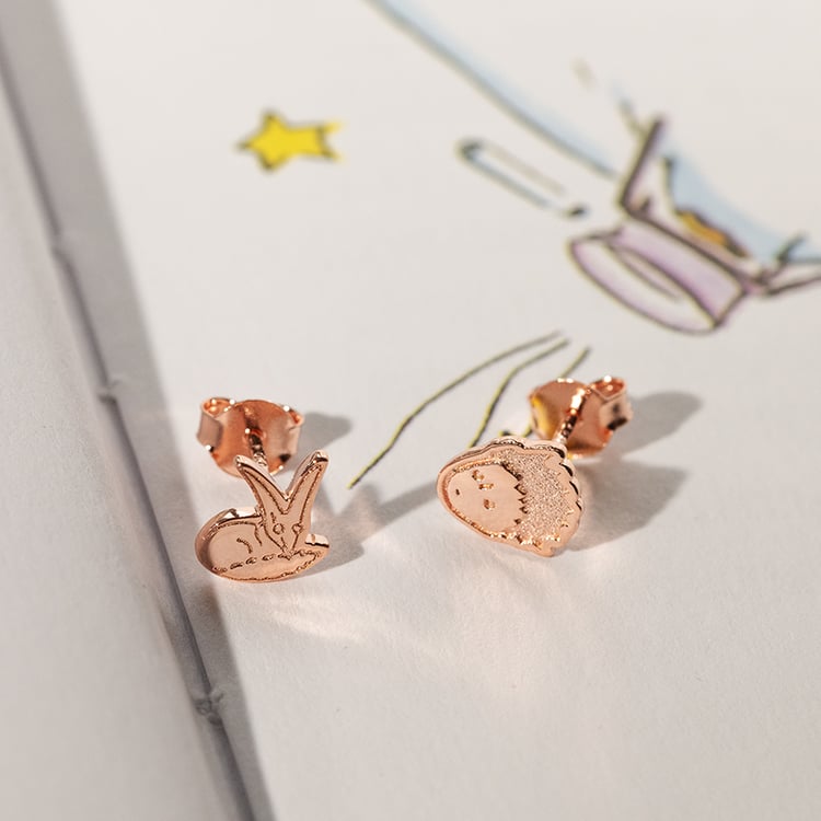 Stříbrné náušnice Malý princ a liška 138048