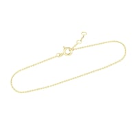 Ankr náramek 16, 17 a 18 cm z 14k zlata