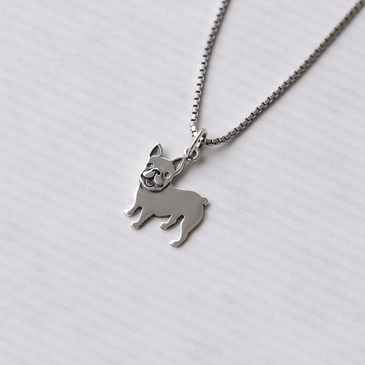 Stříbrný přívěsek 70831