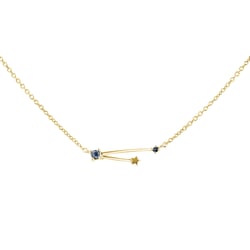 Náhrdelník se znamením zvěrokruhu Aquarius