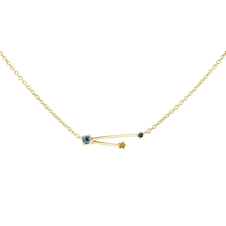 Náhrdelník se znamením zvěrokruhu Aquarius