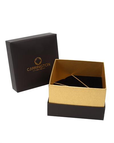 carrington naramok 1336