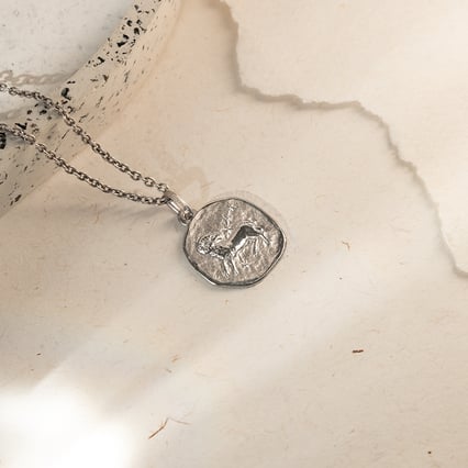 Stříbrný přívěsek se symboly znamení zvěrokruhu Kozoroh