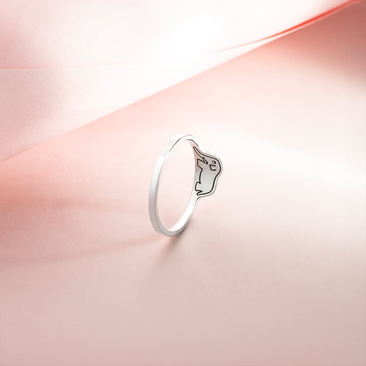 Prsten s ukrytým slonem Malý princ 150650