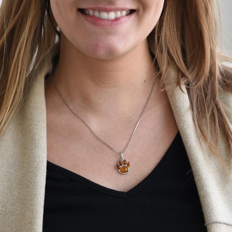 Jantarová tlapka ve stříbrném přívěsku Finlay 52067