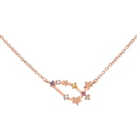 Náhrdelník se znamením zvěrokruhu Capricorn