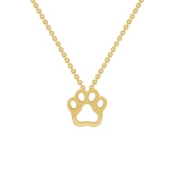 Psí tlapka ve zlatém přívěsku Louiss