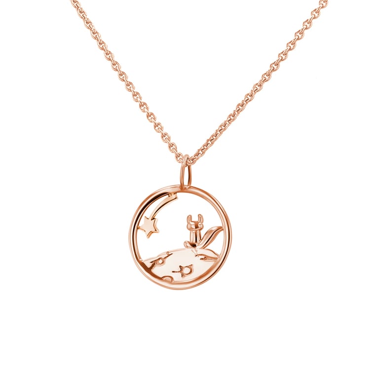 Stříbrný vykrojený přívěsek s liškou Malý princ 141917