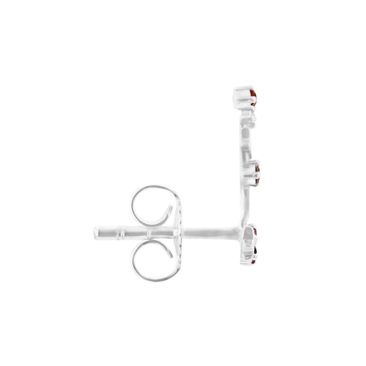 Náušnice se znamením zvěrokruhu Capricorn 95418