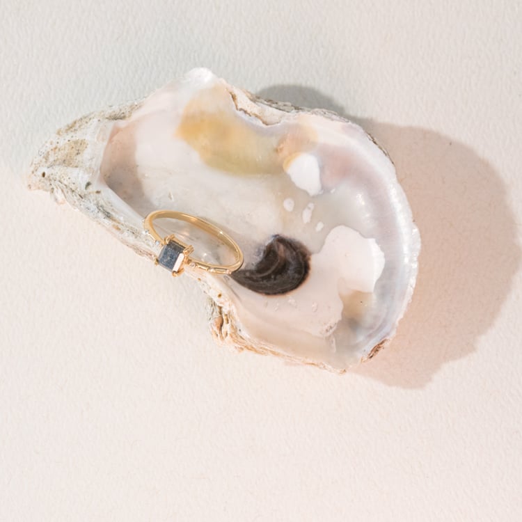 Zlatý prsten se salt and pepper diamantem Emilis 100978