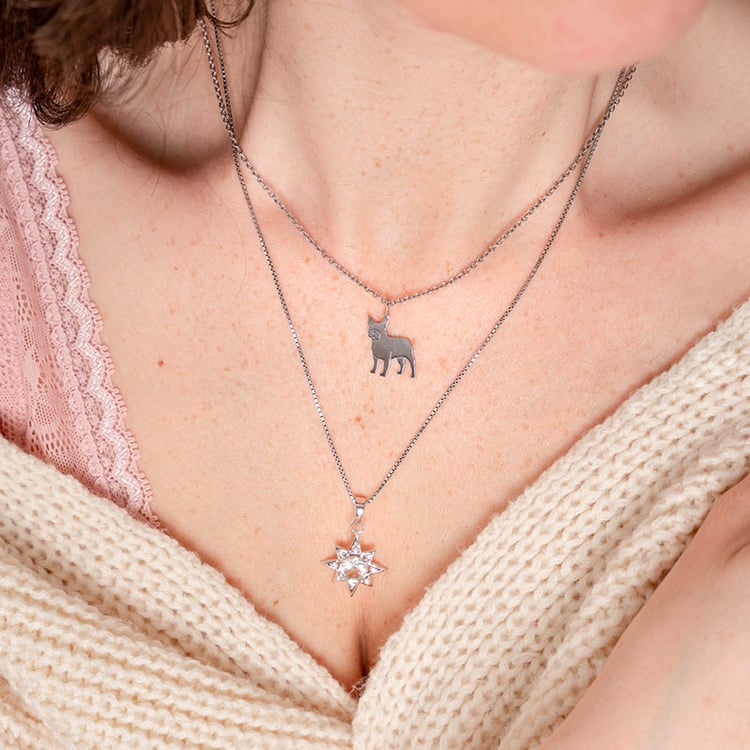 Stříbrný přívěsek ve tvaru psa s gravírem French Bulldog 118310